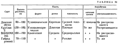 Клещевина (часть 3) Клещевина (часть 3)