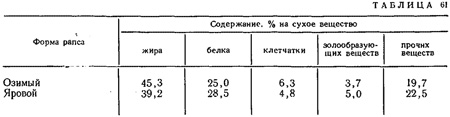 Рапс, рыжик Рапс, рыжик