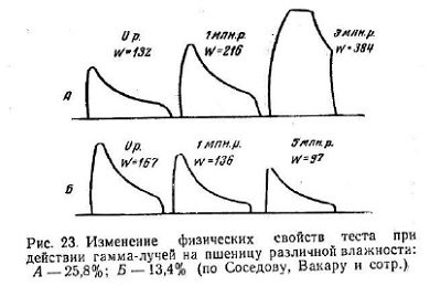 Изменения клейковины под влиянием гамма-лучей