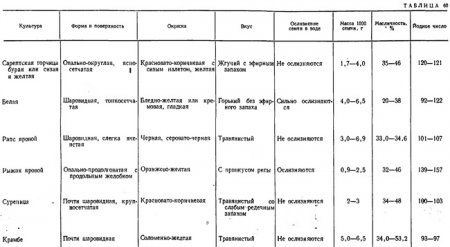 Масличные крестоцветные. Общая характеристика