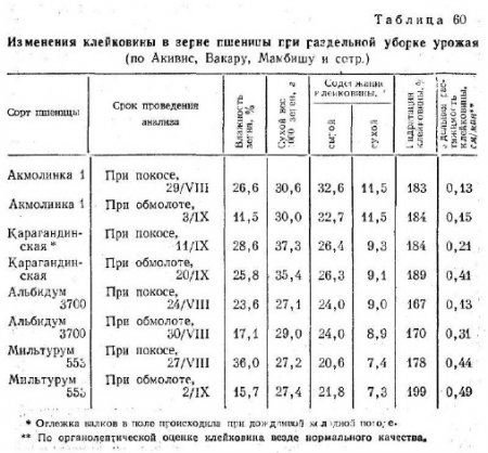 Изменения клейковины в процессе раздельной уборки урожая