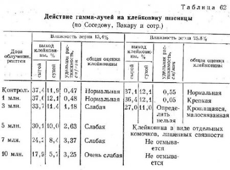 Изменения клейковины под влиянием гамма-лучей